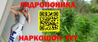 наркотики Берёзовский
