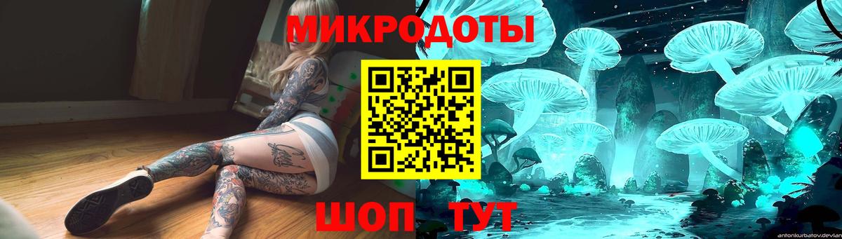 Галлюциногенные грибы Psilocybine cubensis  Вход с VPN  Киселёвск 